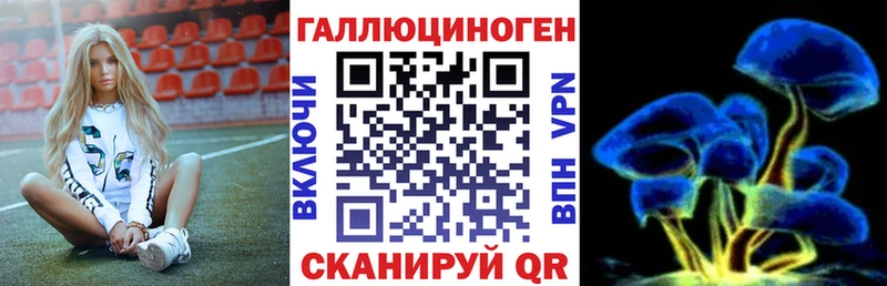 Псилоцибиновые грибы прущие грибы  Знаменск 